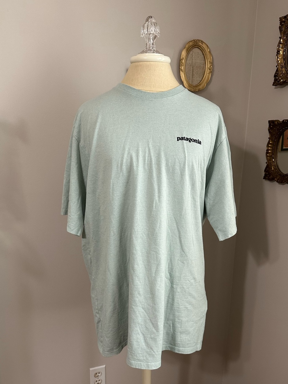 Patagonia Light Blue Responsibili-Tee